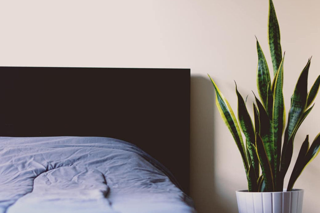 Cleaner Indoor Air Quality Can Help You Sleep Better